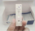 SINGCLEAN COVID-19 TEST KIT NASOPHARYNGEAL SWAB