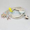 PHILIPS M1770A 12lead EKG cable with leadwires,banana