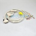 PHILIPS M1770A 12lead EKG cable with leadwires,banana