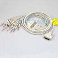 Schiller CS6 CS12 12lead EKG cable with leadwires,banana