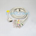 Schiller CS6 CS12 12lead EKG cable with leadwires,banana