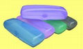 plastic  sunglasses case