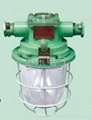 DGS18/127L（A） LED巷道燈 礦用隔爆型白熾燈