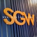 Brushed Stainless Steel Letter Sign 3