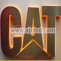 Back Light LED Channel Letter Sign 1