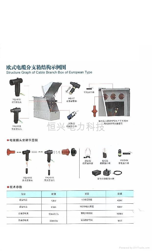 供應10KV歐式電纜分接箱 3