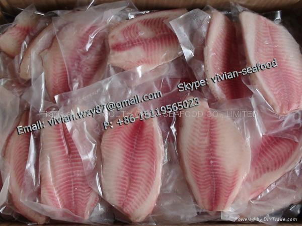 Frozen Tilapia Fillet