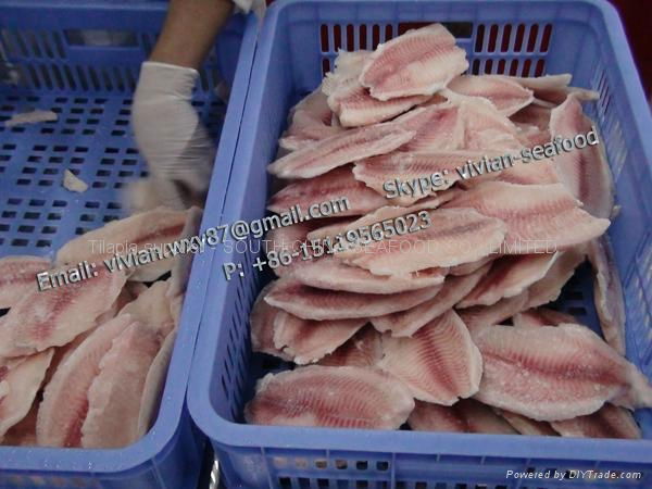 Frozen Tilapia Fillet 2