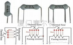 熱熔斷電阻器