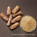 Natural Chandan Powder