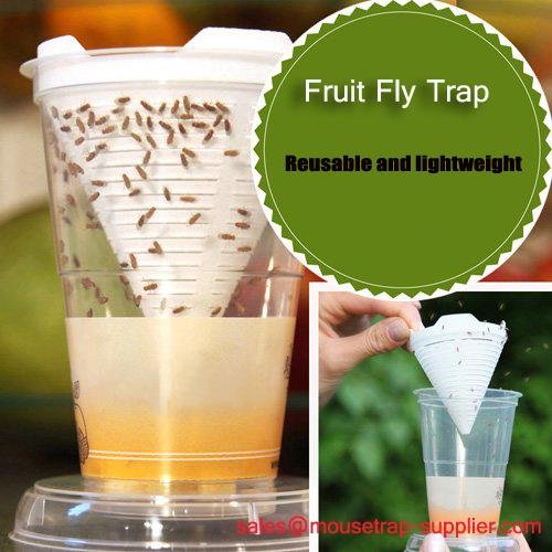 Reusable Plastic Fruit Fly Live Catch Trap Insects Bug Cather 4