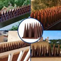 UV Resistant Anti-Bird Pigeons Spikes Strips for Cat and Small Animals Control