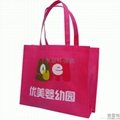 深圳環保袋 4
