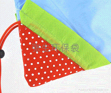 深圳草莓袋 3
