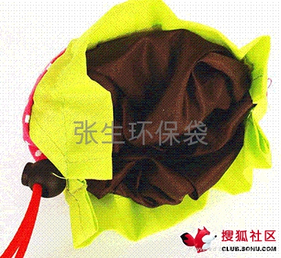深圳草莓袋 4