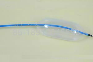 Sizing Balloon catheter