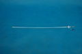 PTMC Balloon Catheter