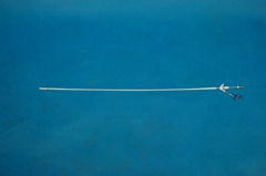 PTMC Balloon Catheter