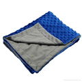 China supplier Minky baby balnekt stroller blanket 2