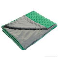 China supplier Minky baby balnekt stroller blanket 5