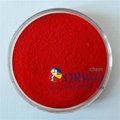 Advantage Pigment Red 48:3 include 2BSP type used for inks and plastics 1