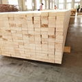 lvl timber packing poplar LVL for pallet and machine  5