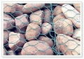 Sell Gabion Box