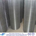 Welded Wire Mesh 1