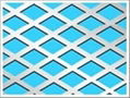 Perforated Metal Sheet 3