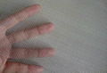 stainless steel wire mesh / ss wire mesh 1