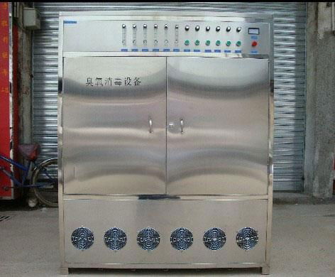 廣州百豐BF-YE100克高濃度臭氧發生器 5
