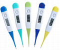 Digital thermometer