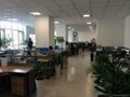 our new qingdao office