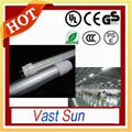 led fluorescent light