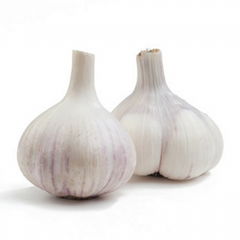  new crop chinese fresh garlic 