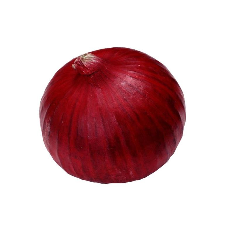 New fresh Onion  1