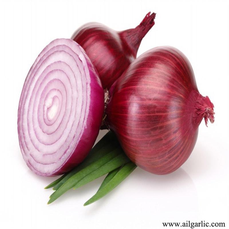New fresh Onion  2