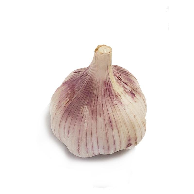  pure white garlic  5