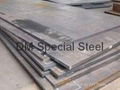 Hot Rolled Mild Steel Plate and Sheet