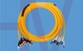 Bundle bunched ribbon outdoor waterproof optic fiber patchcord pigtail connector