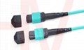 MPO光纤连接器跳线
