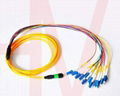 MPO type optic fiber patchcord