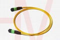 MPO type optic fiber patchcord 10