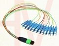 MPO type optic fiber patchcord