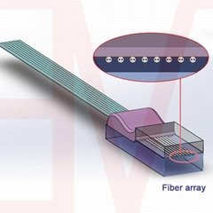 Polarization maintaining PM fiber array