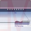 Polarization maintaining PM fiber array 17