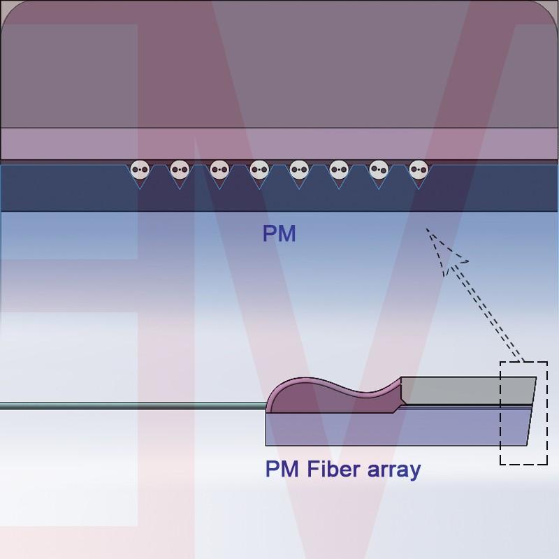 SM+PM mixed fiber array unit 3