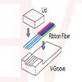 定製光纖陣列（單模光纖+保偏光纖））