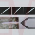 2D fiber array 12