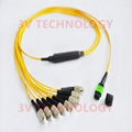 8cores MPO Patch Cord with FC connector 1